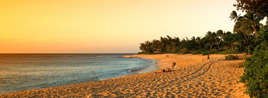 Florida Dreamvacation