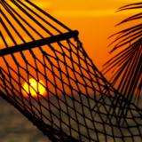 Daily Sunset